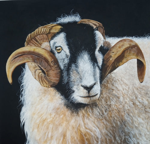 'Reg the Ram' A3 Print