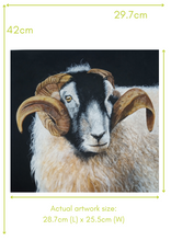 Load image into Gallery viewer, &#39;Reg the Ram&#39; A3 Print